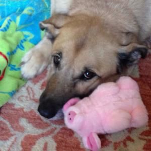 Meet your Posher, Sherry